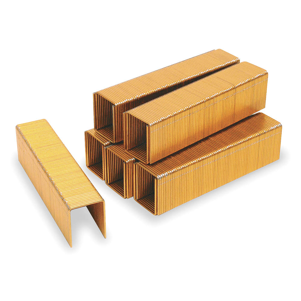 16 Ga. Construction Staples